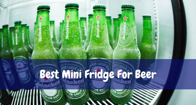 best small beer fridge
